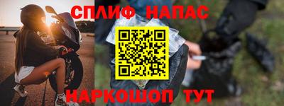 ГАЛЛЮЦИНОГЕННЫЕ ГРИБЫ Кингисепп