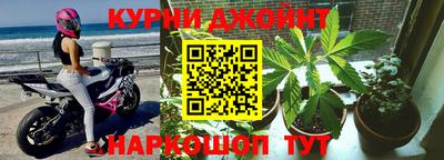 ГАЛЛЮЦИНОГЕННЫЕ ГРИБЫ Кингисепп