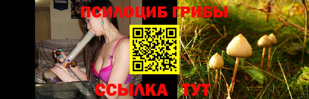 Псилоцибиновые грибы ЛСД Сыктывкар